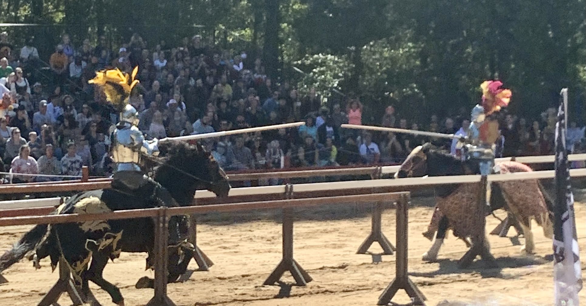 Back at the Renaissance Faire! Huzzah!